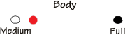 item13