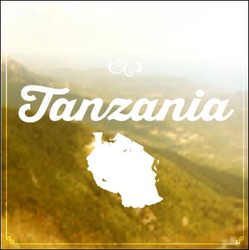 TanzaniaLogo